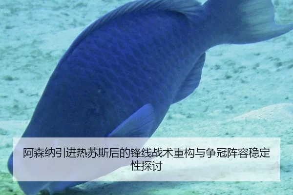 阿森纳引进热苏斯后的锋线战术重构与争冠阵容稳定性探讨