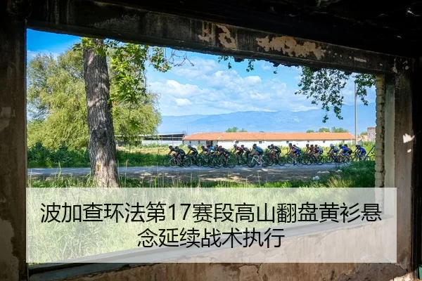 bo-jia-cha-huan-fa-di-sai-duan-gao-shan-fan-pan-huang-shan-xuan-nian-yan-xu-zhan-shu-zhi-xing-2-757.jpg